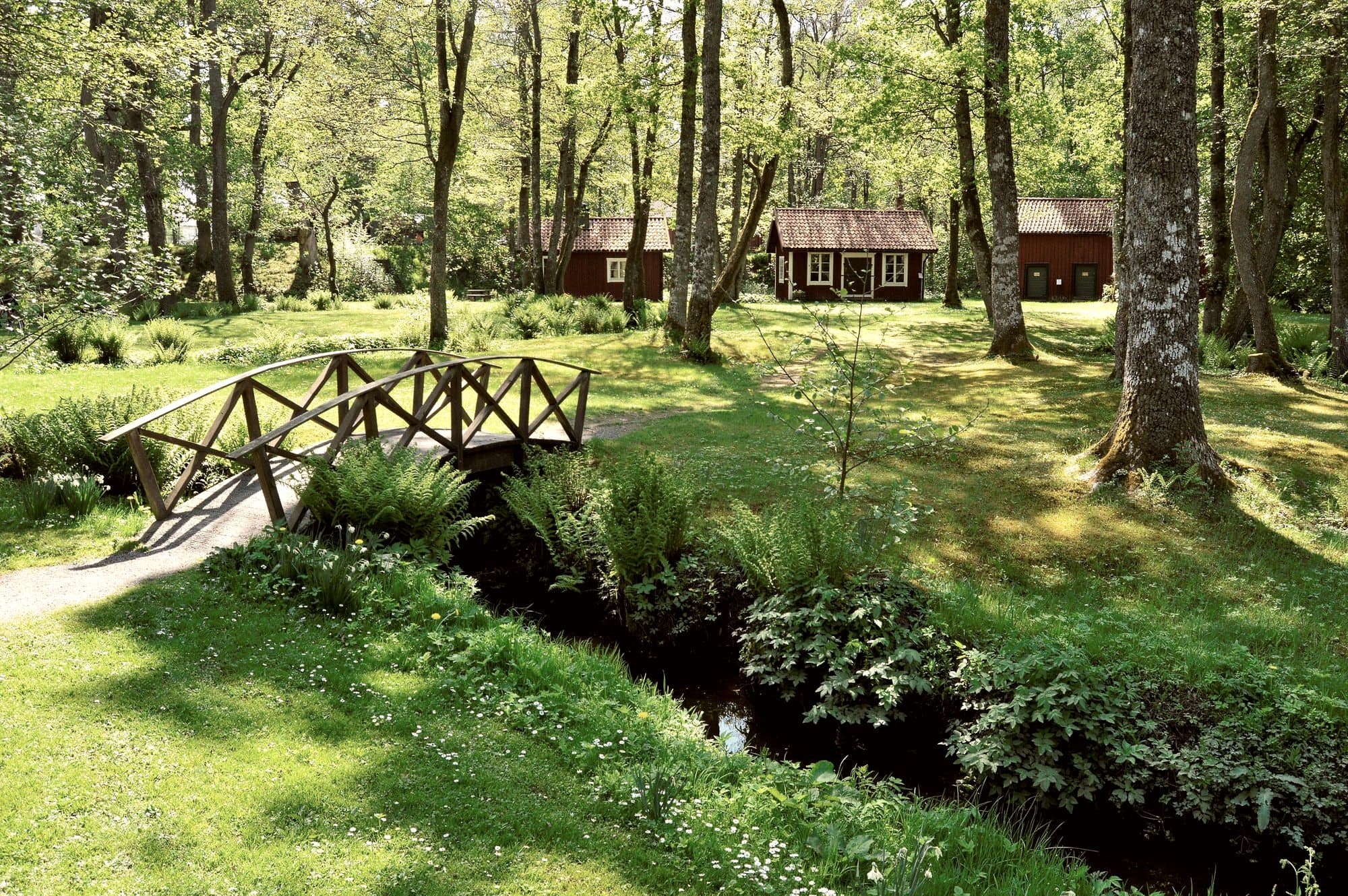 Skandinavisk sommerhus i skovomgivelser